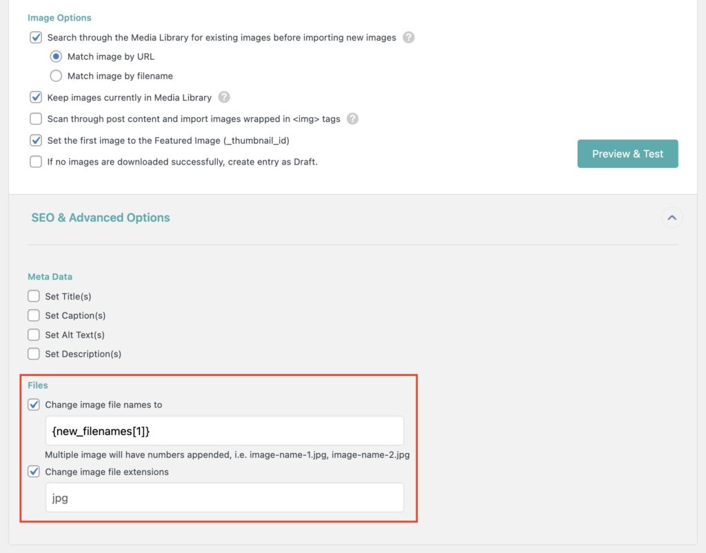 Image Options Advanced Options Files