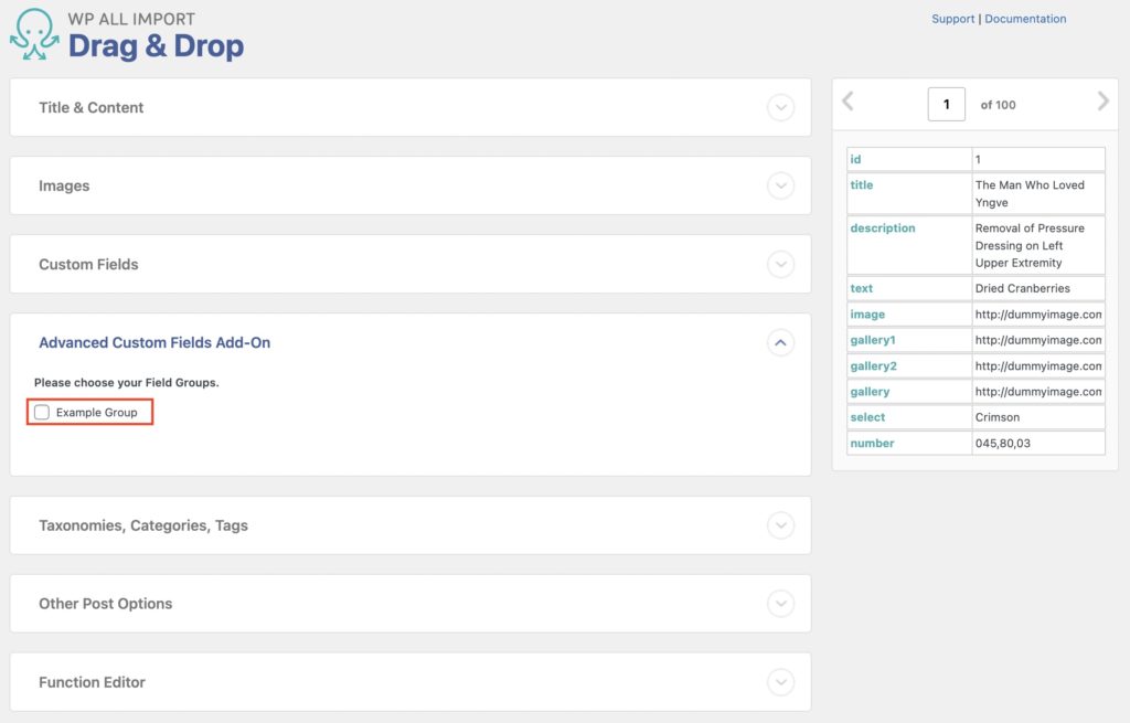 Import Advanced Custom Fields Enable Group
