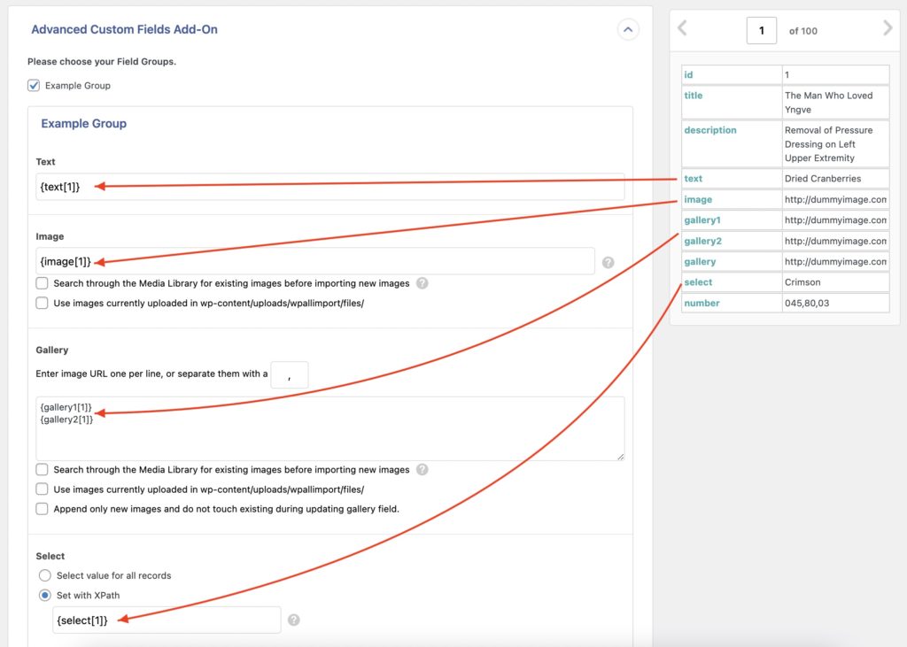 Import Advanced Custom Fields Map ACF Fields