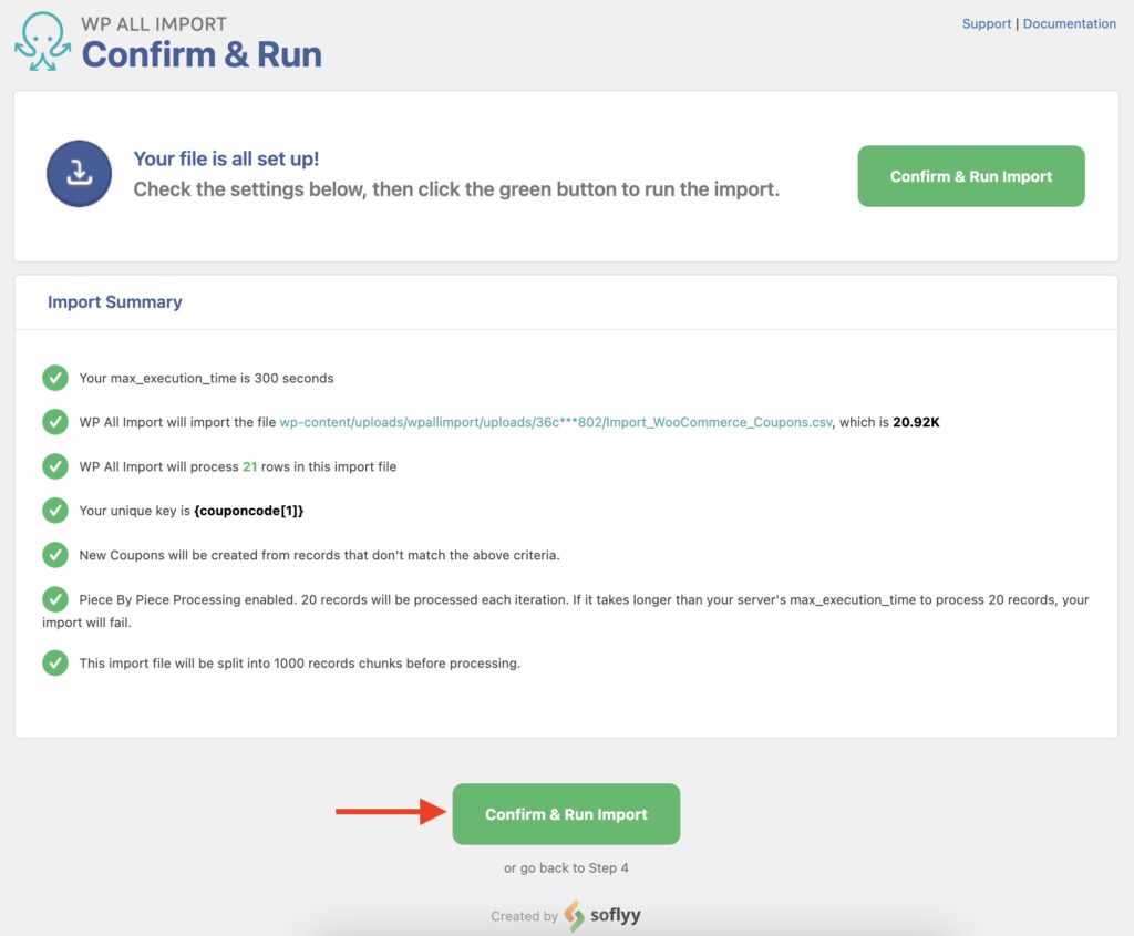Import WooCommerce Caoupons Import Summary