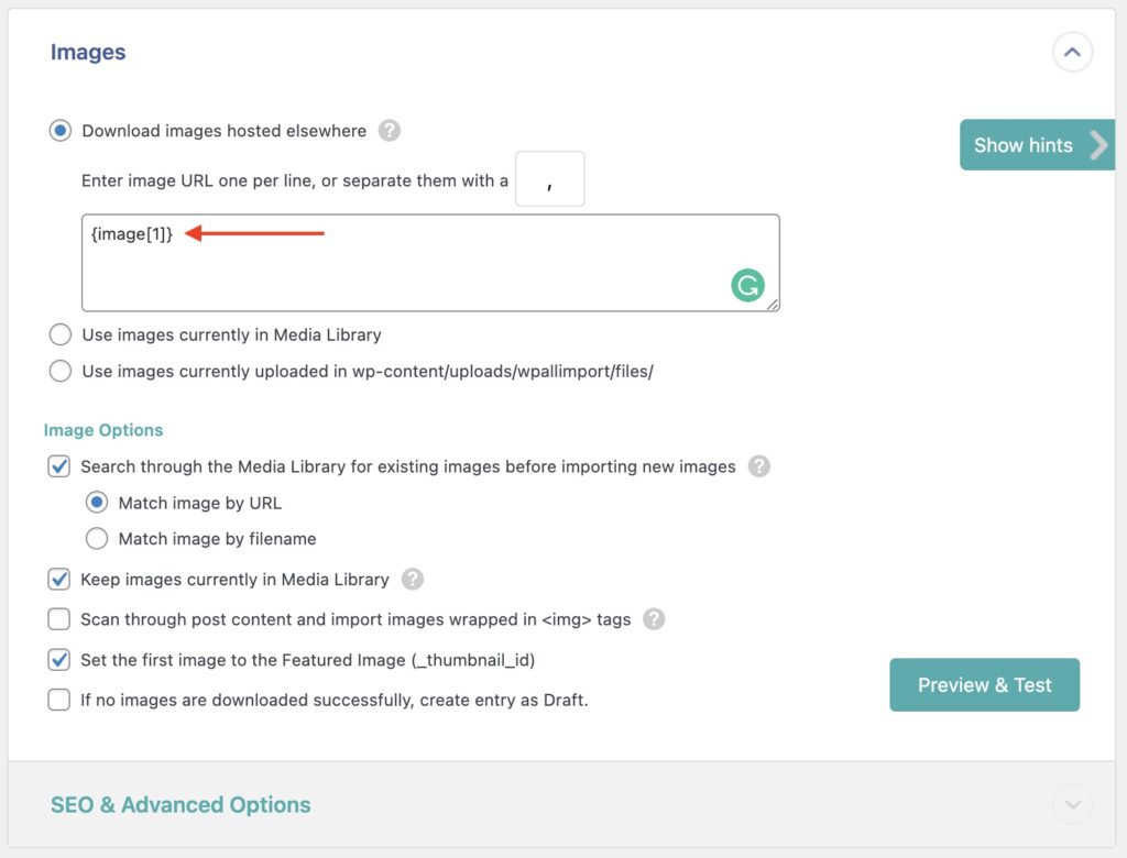 Import WordPress Posts Images Section