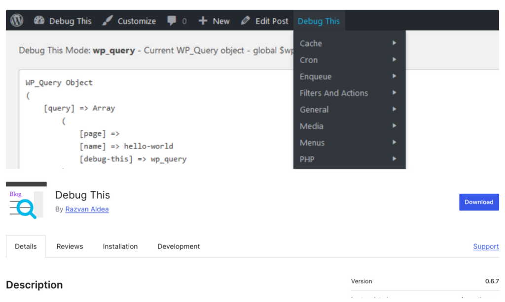 Debug This WordPress Debug Plugin